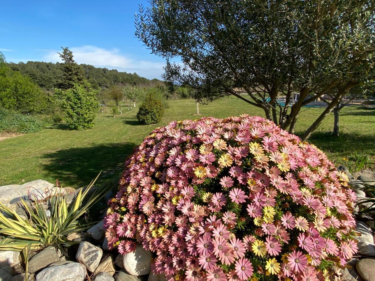 Mas Des Tournevents Bed & Breakfast Lézignan-Corbières Eksteriør bilde