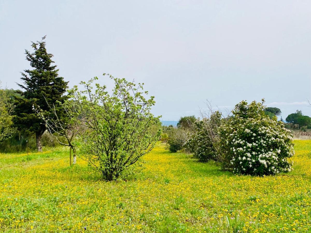 Mas Des Tournevents Bed & Breakfast Lézignan-Corbières Eksteriør bilde
