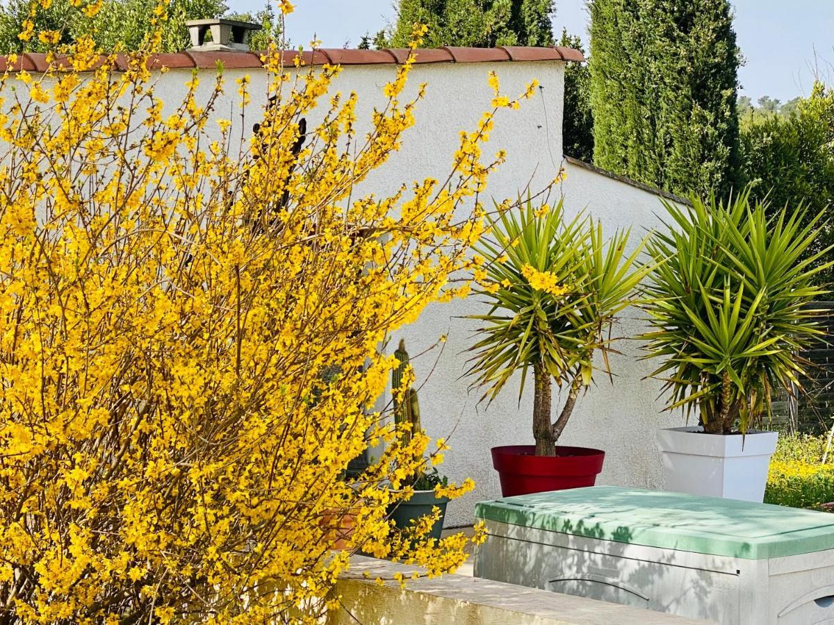 Mas Des Tournevents Bed & Breakfast Lézignan-Corbières Eksteriør bilde
